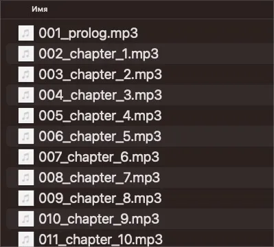 Файлы с озвученными главами